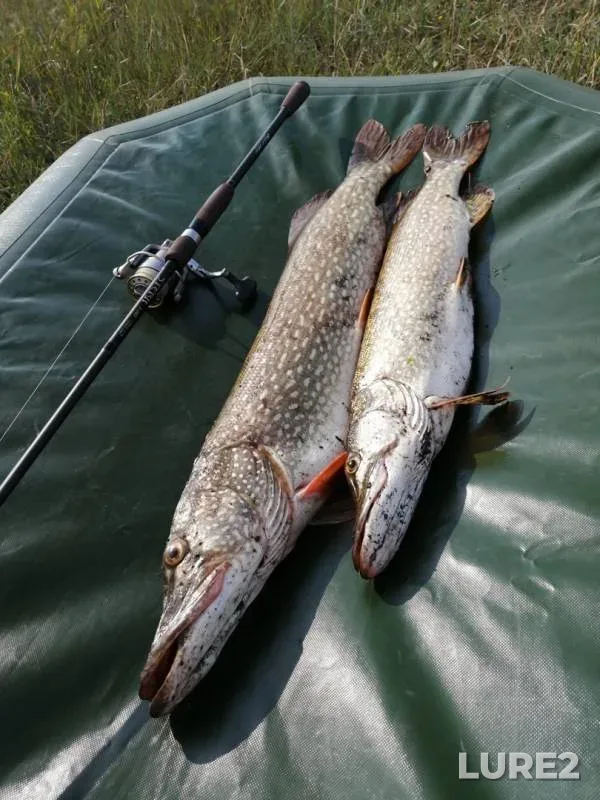 Pike — Mokryy Kyzyl, Jul 28, 2019