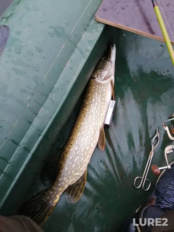 Pike — Belaya, Jul 30, 2019