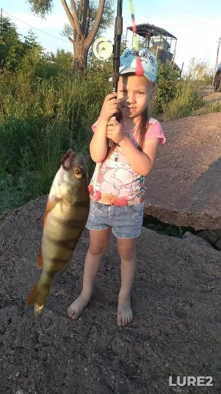 Perch — Sterlya, Aug 01, 2019