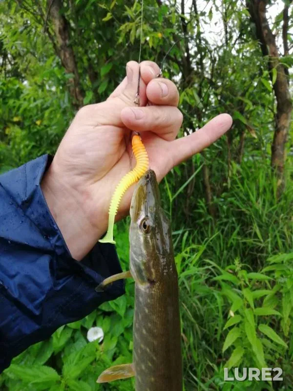 Pike — Belaya, Aug 09, 2019