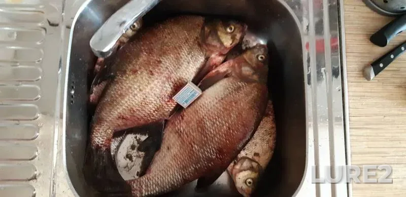 Bream — Kama, Jul 17, 2019