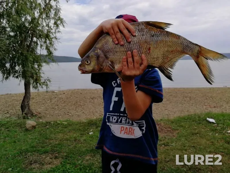 Bream — Nugushskoye, Aug 11, 2019