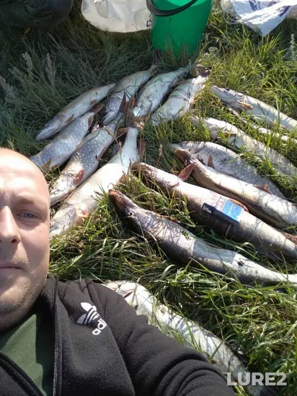 Pike — Ashkadar, Sep 04, 2019