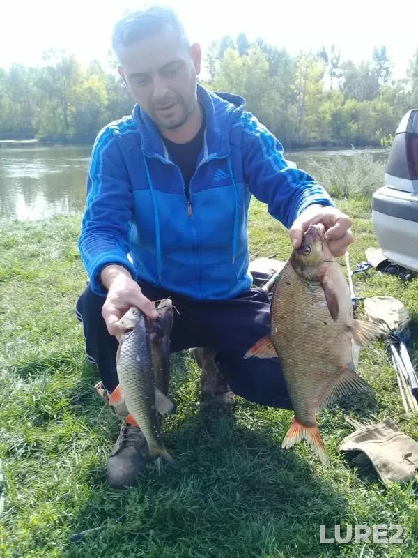 Bream — Belaya, Sep 08, 2019