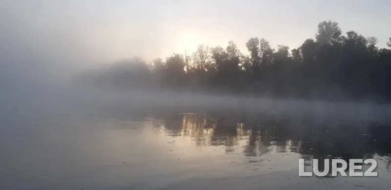 Perch, Pike — Belaya, Sep 18, 2019