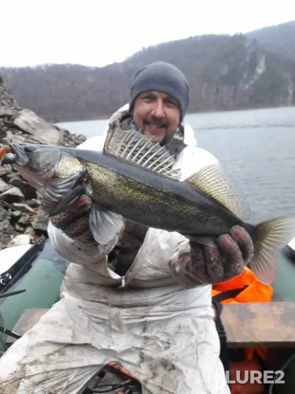 Perch, Pike — Yumaguzinskoye, Oct 23, 2019