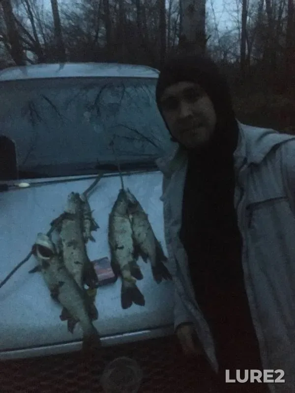 Pike — Belaya, Oct 28, 2019