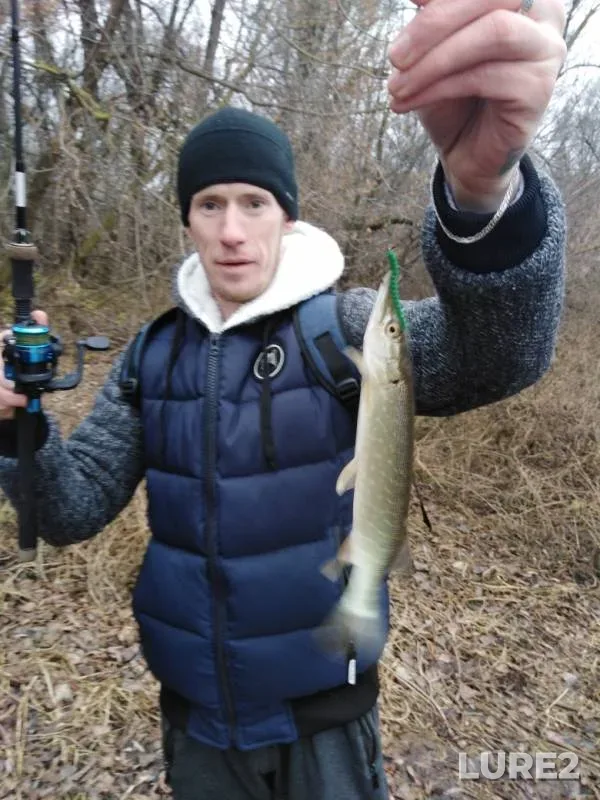 Perch, Pike — Belaya, Nov 10, 2019