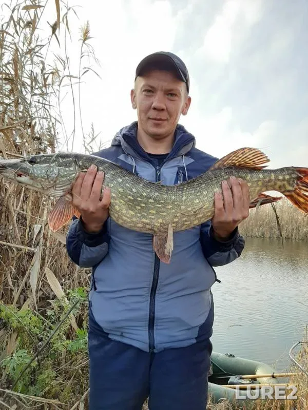 Pike — Volchya, Nov 25, 2019