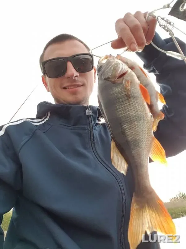Perch — Sivelga, May 14, 2019