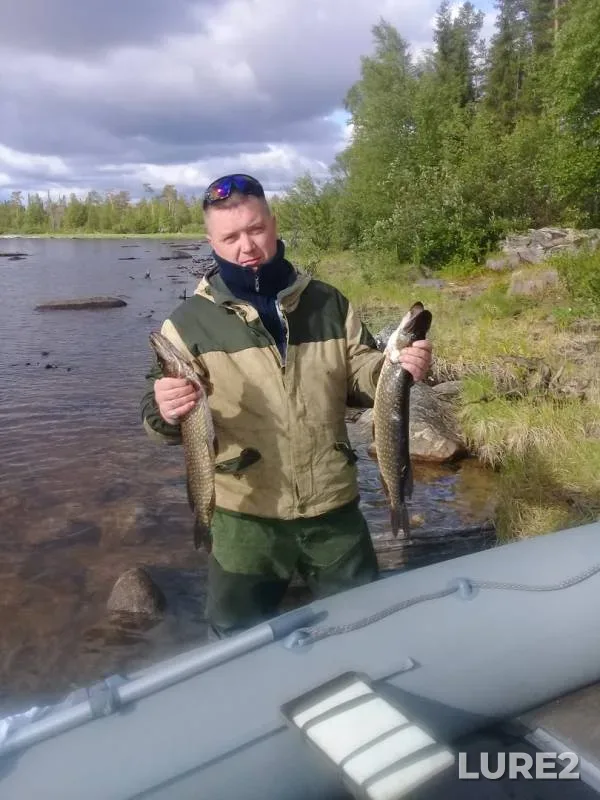 Pike — Verkhnetulomskoye, Jun 30, 2018