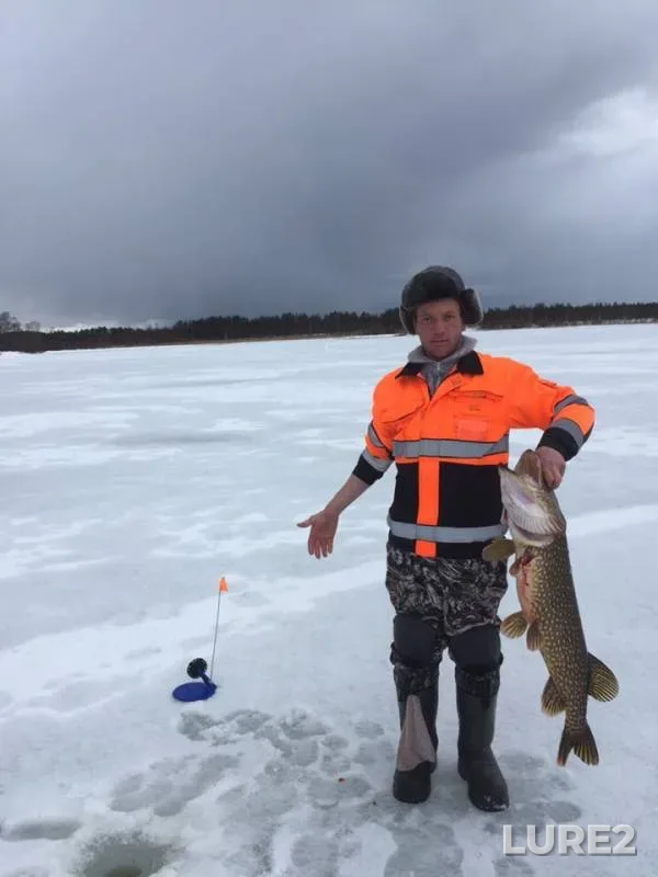 Pike — Kotayarvi, Mar 31, 2019