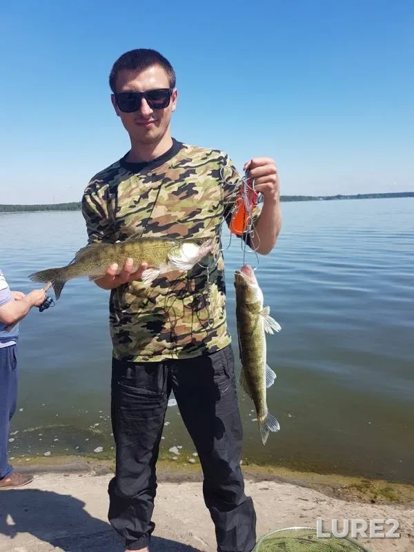 Zander — Soligorskoye, Jun 01, 2019