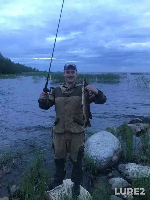 Pike — Respublika Kareliya, Pitkyarantskiy munitsipalnyy okrug, Jul 04, 2019