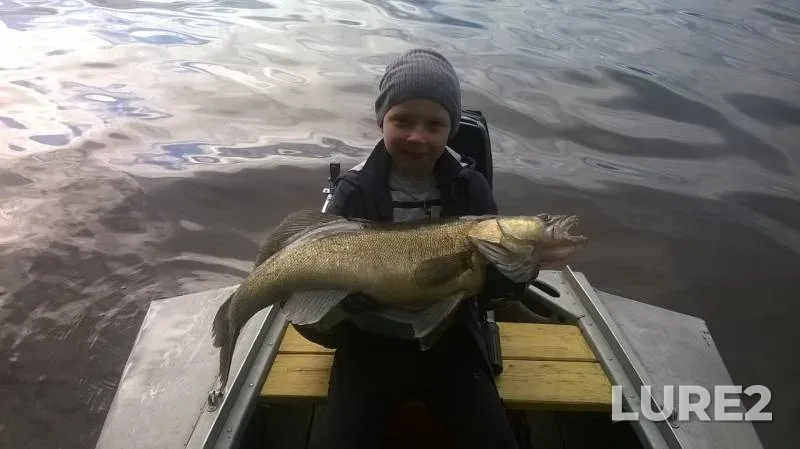Zander — Nizhniy Vyg, Jul 05, 2019