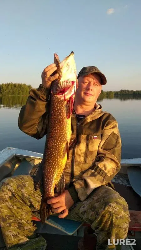 Pike — Belomorkanal, Aug 29, 2019