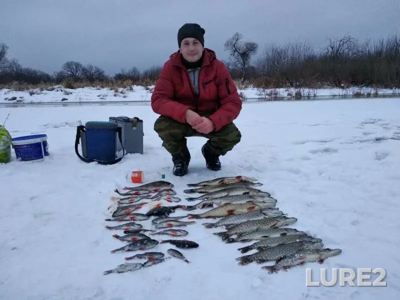 Perch, Pike — Boretskoye, Jan 13, 2019