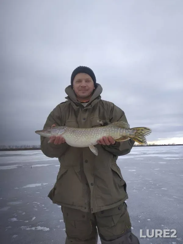Perch, Pike — Chyornoye, Jan 14, 2019