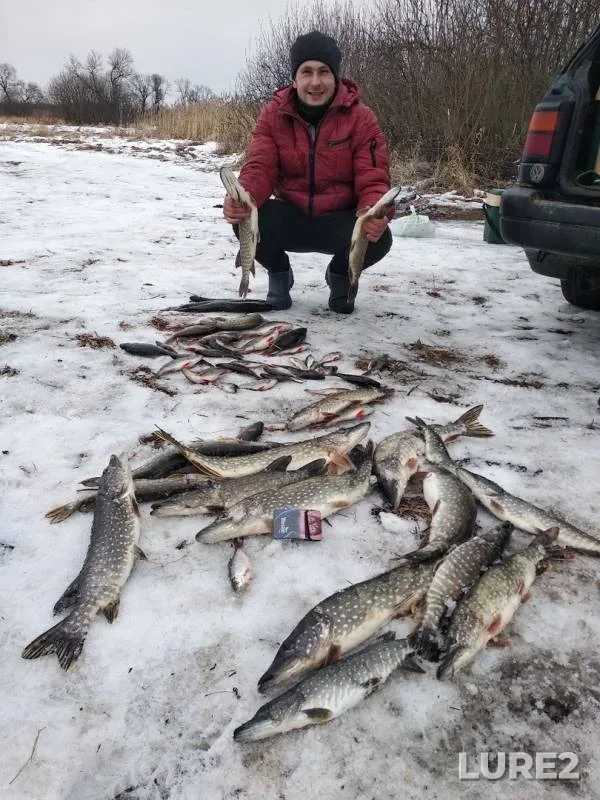 Perch, Pike — Boretskoye, Jan 18, 2019