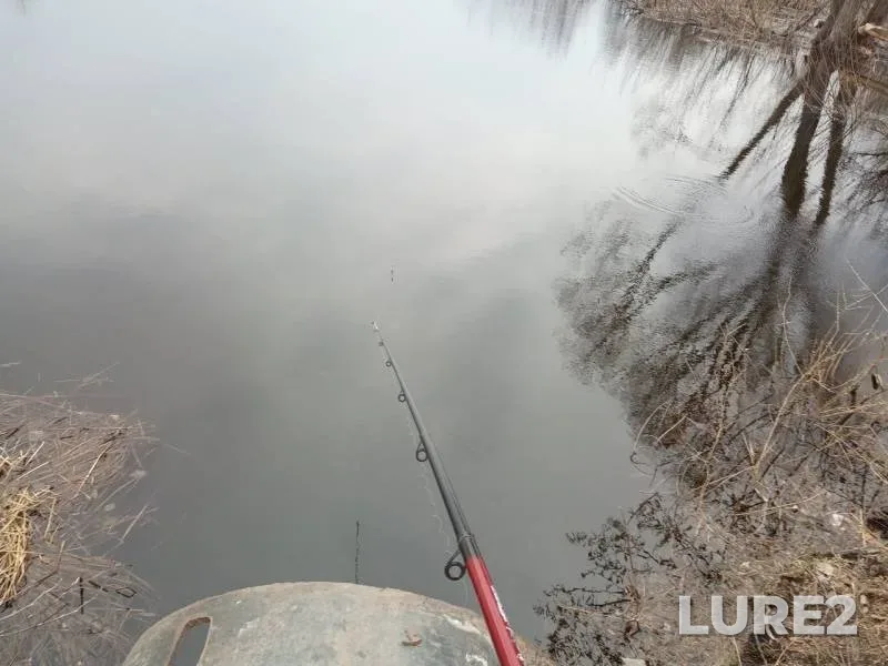 Bream, Roach — Ashayesh, Apr 29, 2019