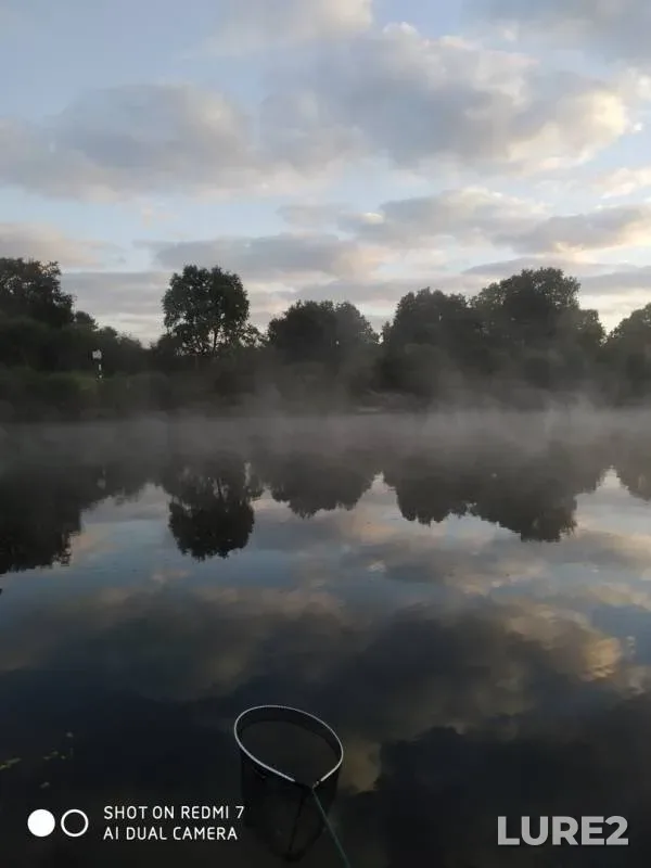 Bream, Roach — Brestskaya oblast, Stolinskiy rayon, Sep 05, 2019