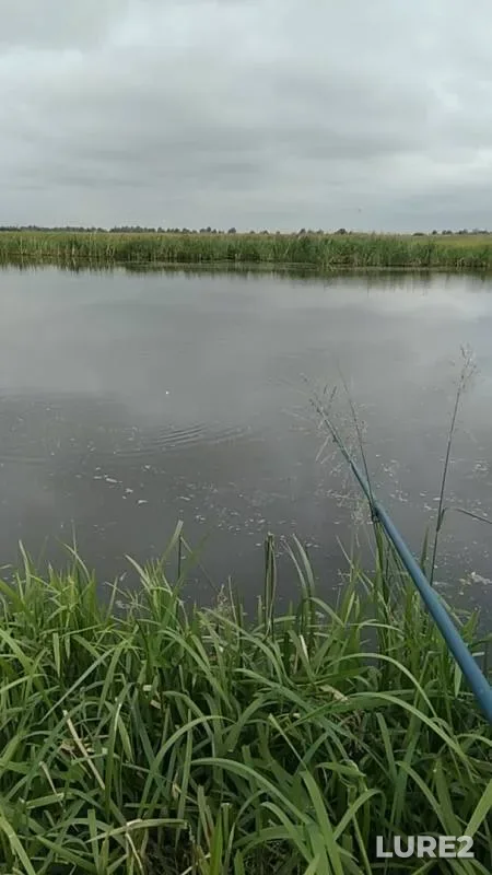 Crucian carp — Staraya Syun, Jul 13, 2018
