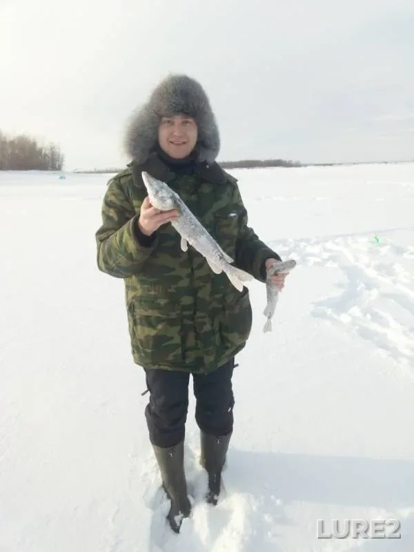 Pike — 1 kanal (r.Kama), Jan 27, 2019