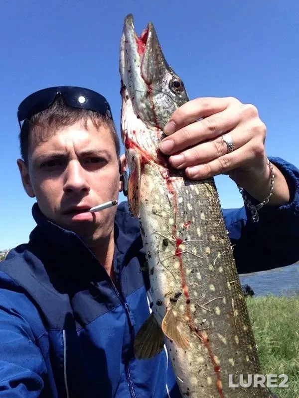 Pike — Zay, Jun 07, 2019
