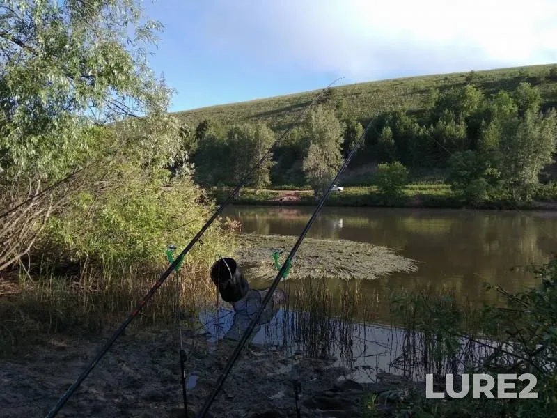 Bream — Zay, Jun 15, 2019