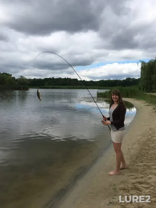 Perch — Samara, Jun 24, 2017