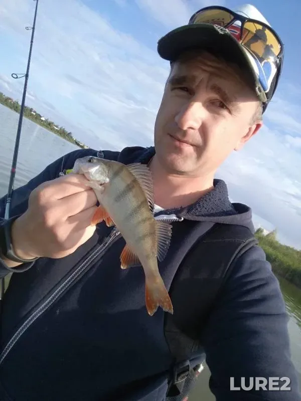 Perch — Petrovichskoye, Jul 13, 2019