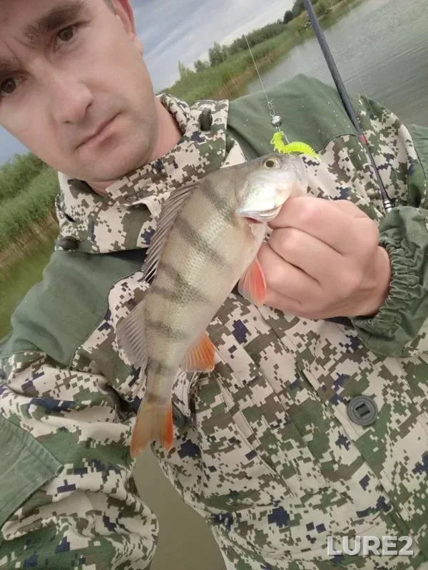 Perch — Petrovichskoye, Jul 14, 2019