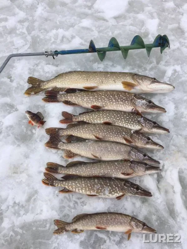 Pike — Respublika Tatarstan, Mar 12, 2019