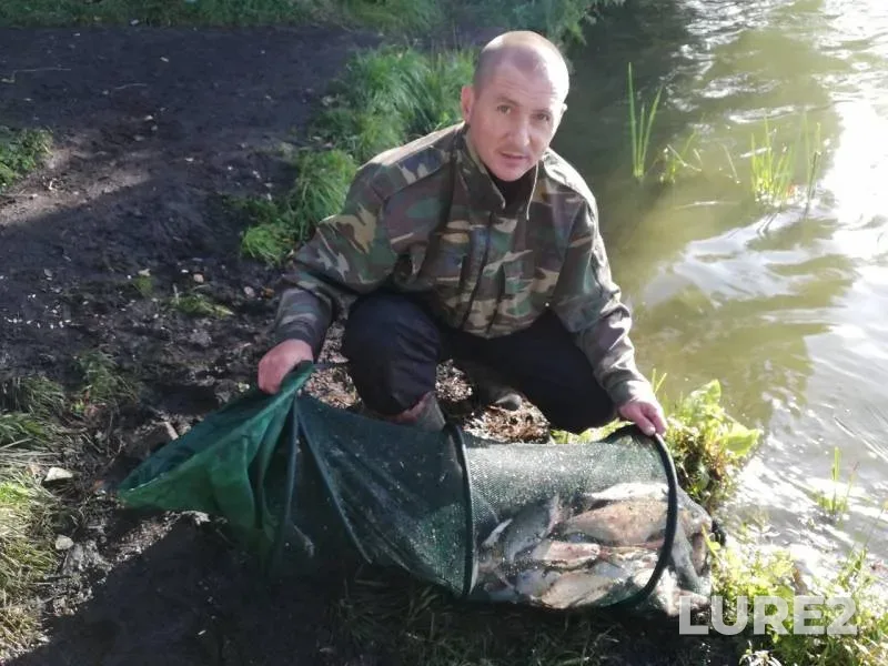 Bream, Roach — Krinitsa, Sep 17, 2019