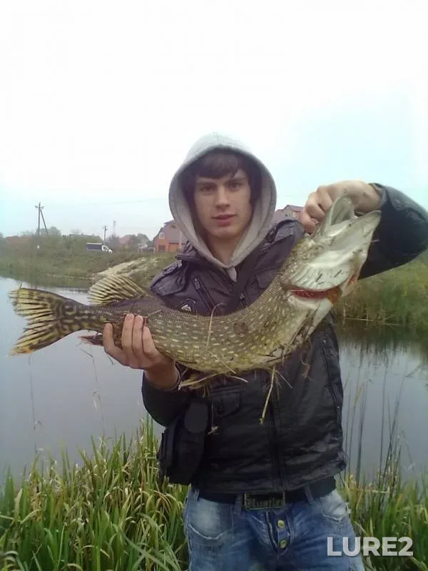 Pike — Kiїvska oblast, Oct 21, 2012