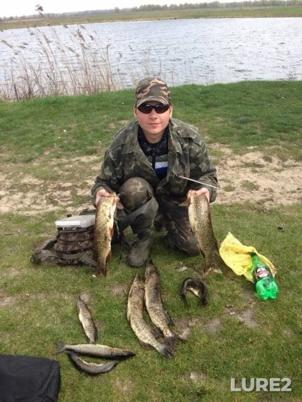 Pike — Chernіgіvska oblast, May 05, 2014