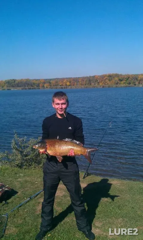 Carp — Donetska oblast, May 24, 2014