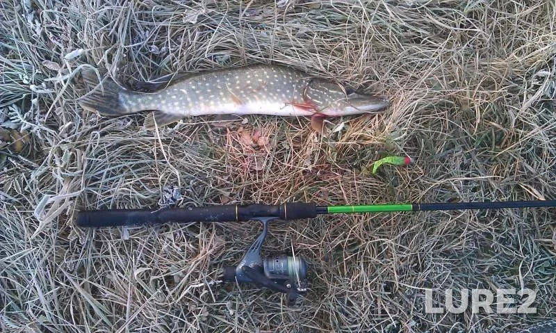 Pike — Kiїvska oblast, Oct 19, 2014