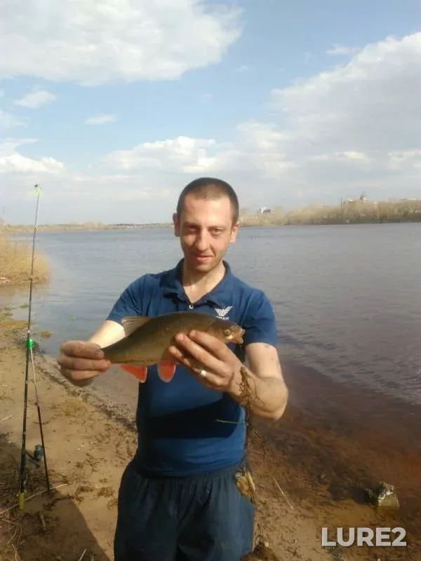 Bream, Ide — Volga, May 01, 2017