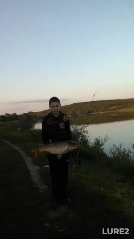 Carp — Chernіvetska oblast, May 18, 2017