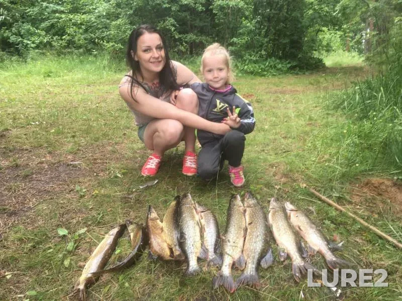 Pike — Pendikovskoye, Jul 19, 2017
