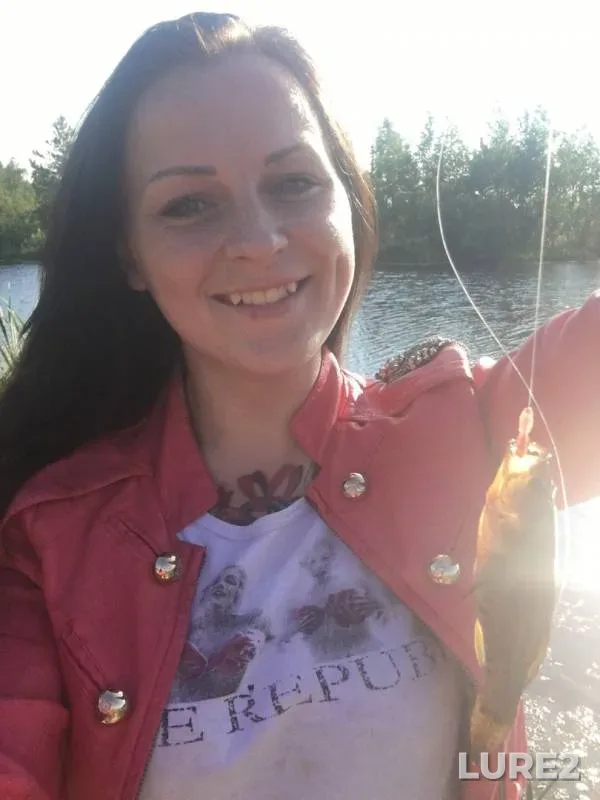 Perch — Leningradskaya oblast, Kirovskiy rayon, Jul 26, 2017