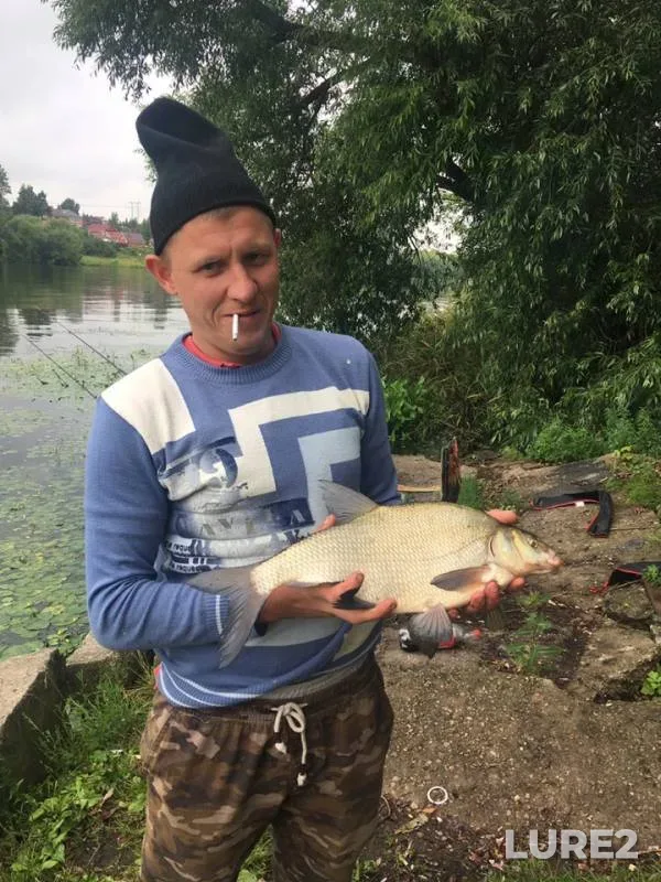 Bream — Moskva, Jul 17, 2019
