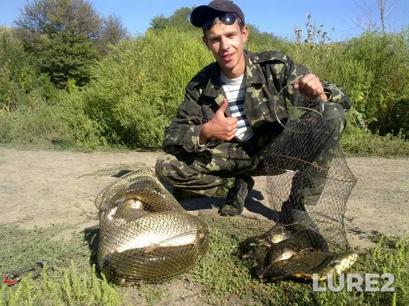 Carp, Grass carp — Mius, Aug 14, 2017