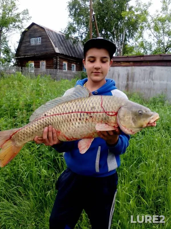Carp — Chusovaya, Oct 14, 2018