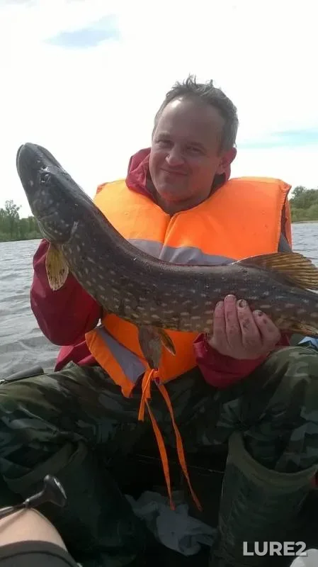 Pike — Bobrik, Jan 13, 2019