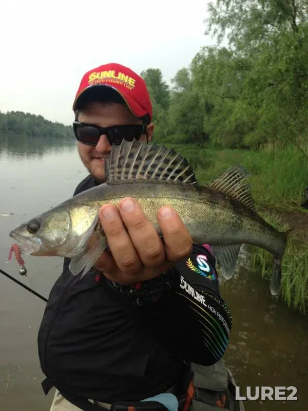 Zander — Kiyevskoye, May 17, 2014