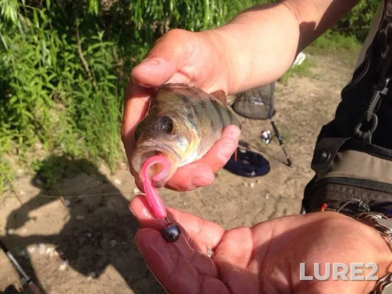 Perch, Pike — Dnepr, May 24, 2014