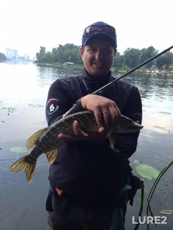 Pike — Desenka, Jun 01, 2014