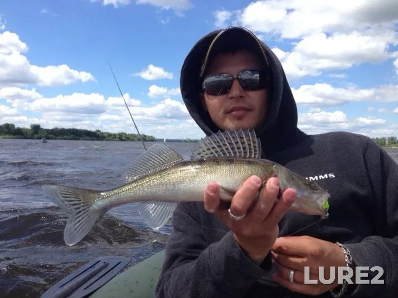 Zander — Dnepr, Jun 21, 2014